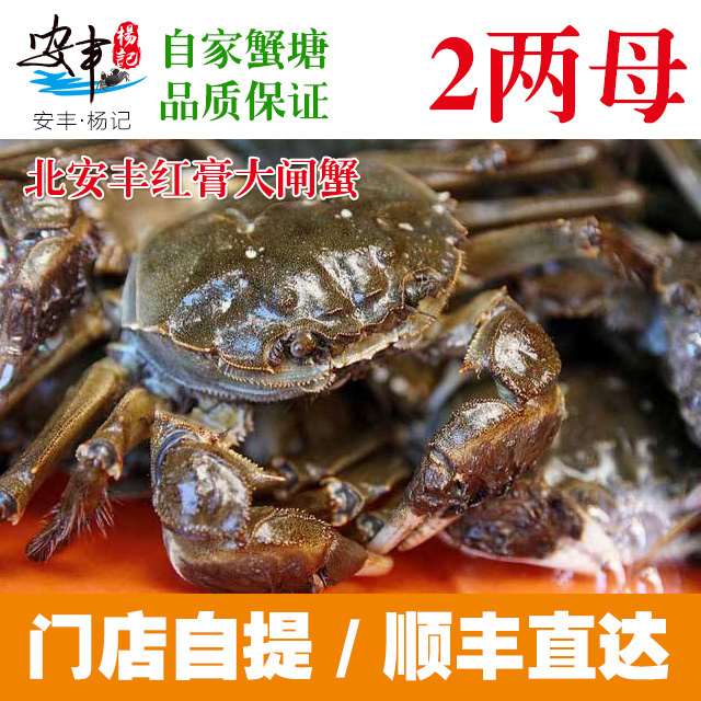 安丰·杨记　2两母蟹