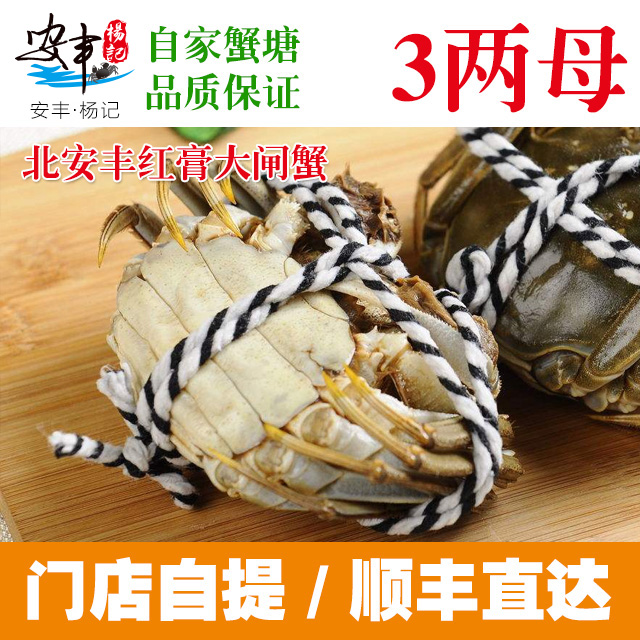 安丰·杨记　3两母蟹