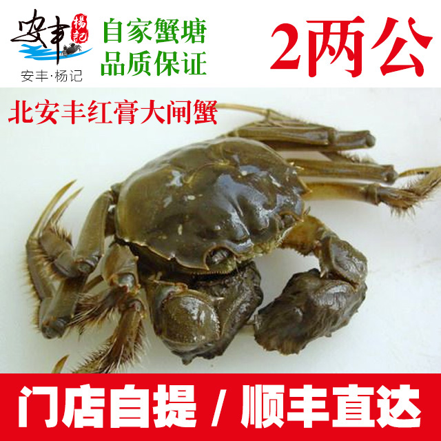安丰·杨记　2两公蟹