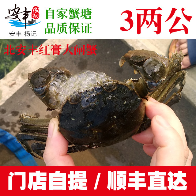 安丰·杨记　3两公蟹