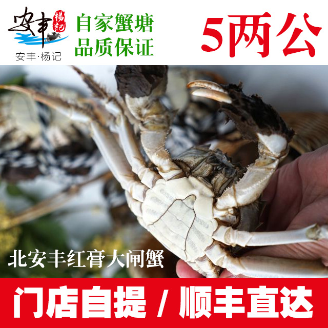 安丰·杨记　5两公蟹