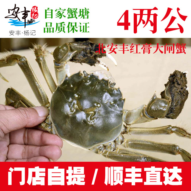 安丰·杨记　4两公蟹